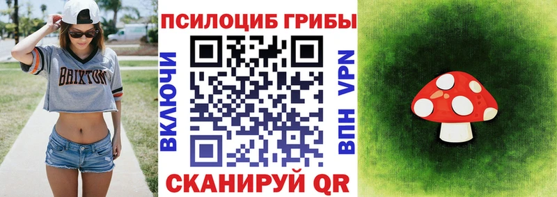 наркота  МЕГА вход  Галлюциногенные грибы Psilocybine cubensis  Волгореченск 